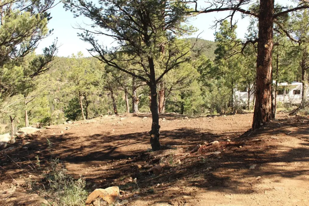 Picture 22
