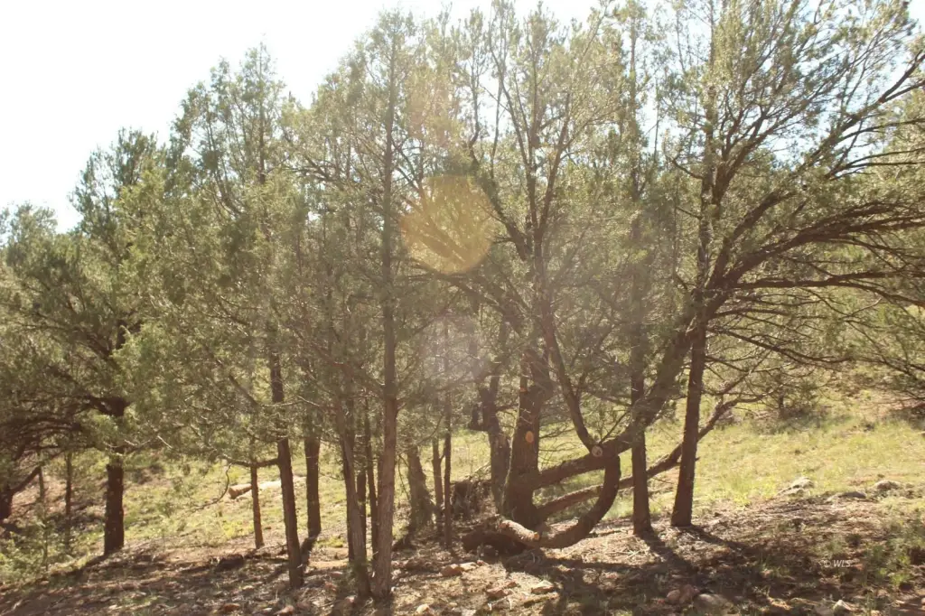 Picture 24