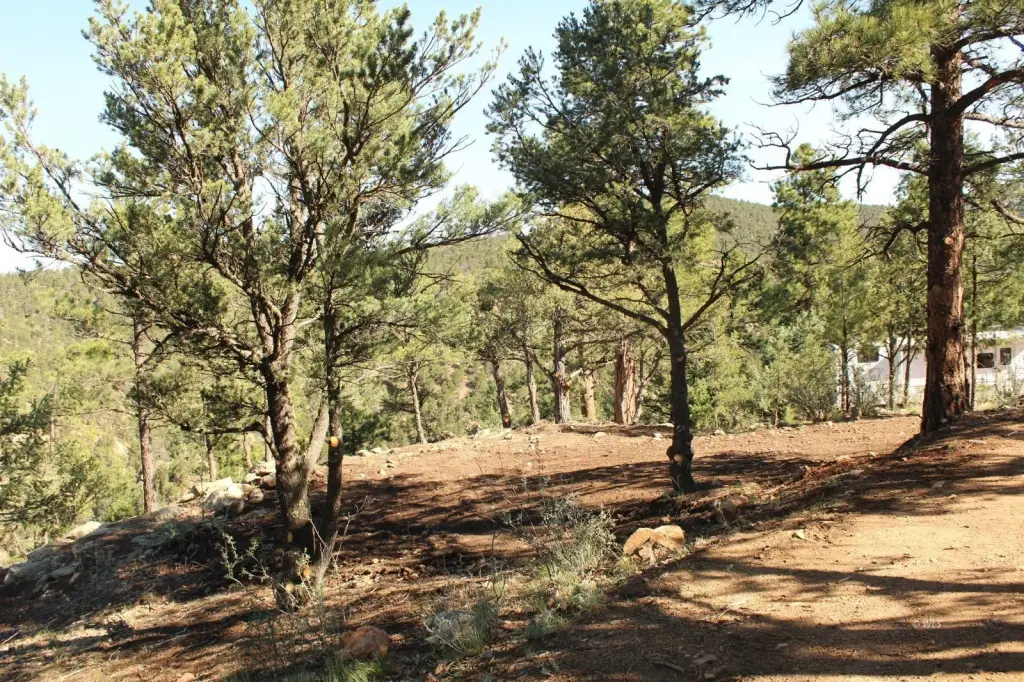 Picture 23