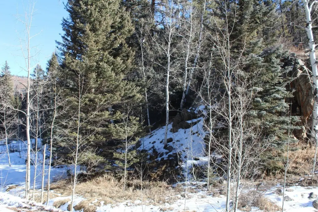 Picture 30