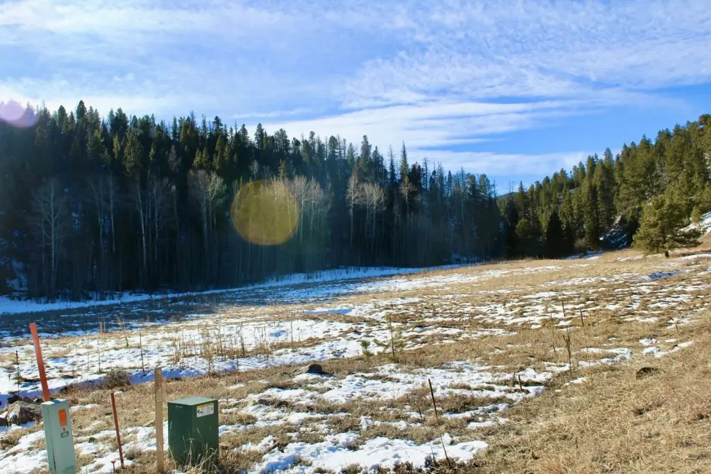 Picture 27