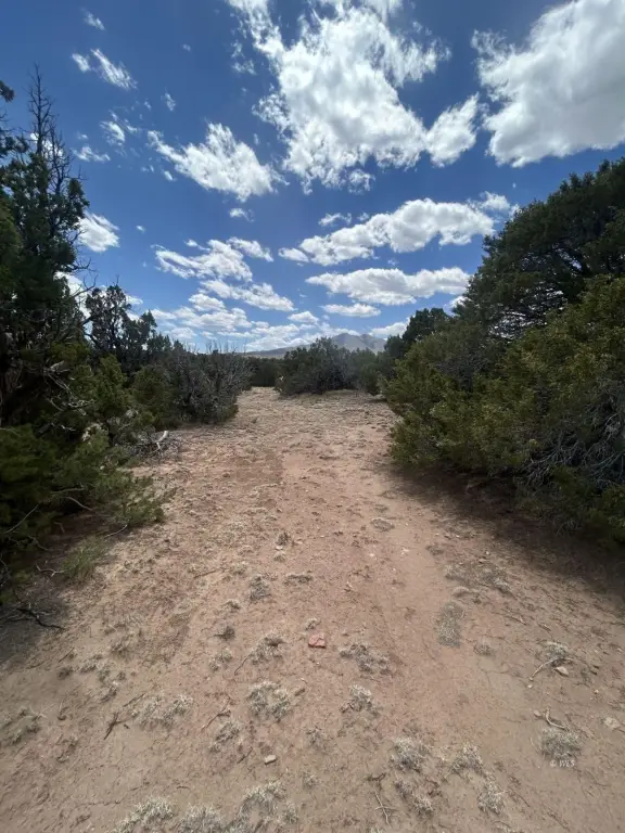 Picture 19