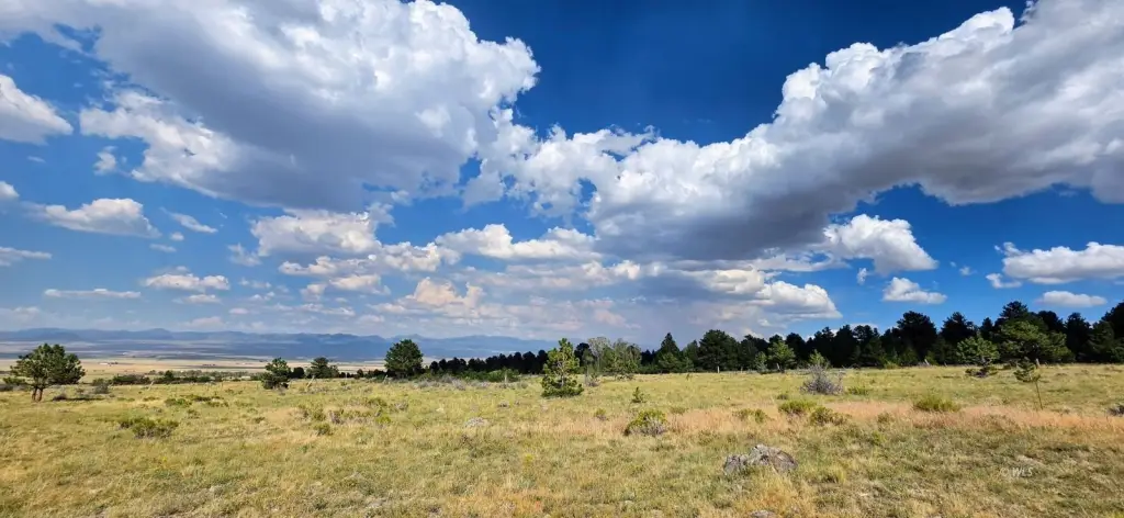 Picture 22