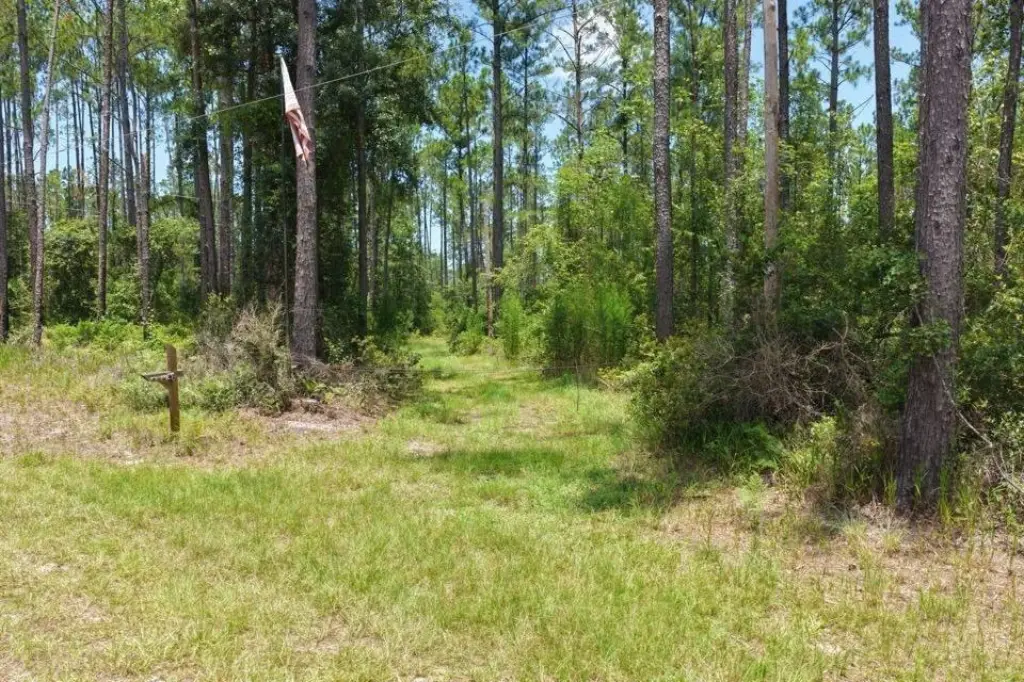 Picture 8