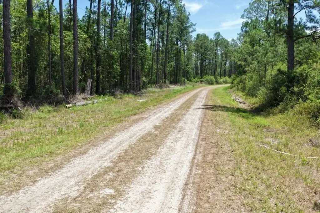 Picture 7