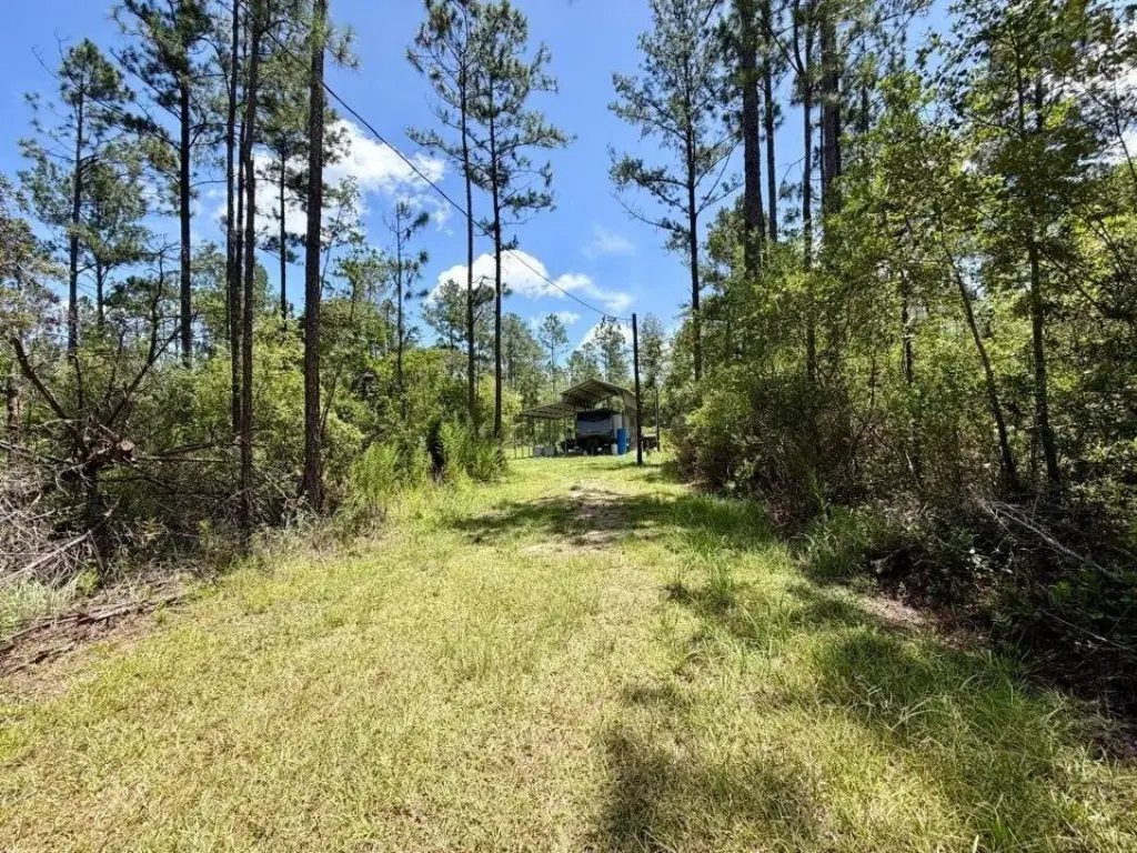 Picture 29