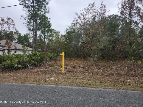 Residential Land in Brooksville, FL