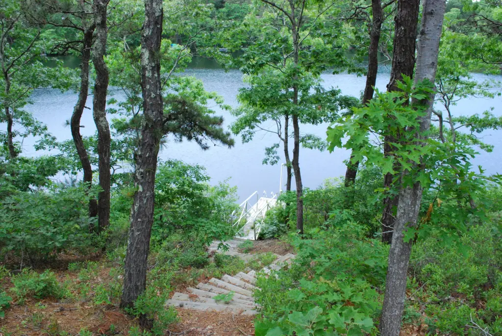 Picture 2