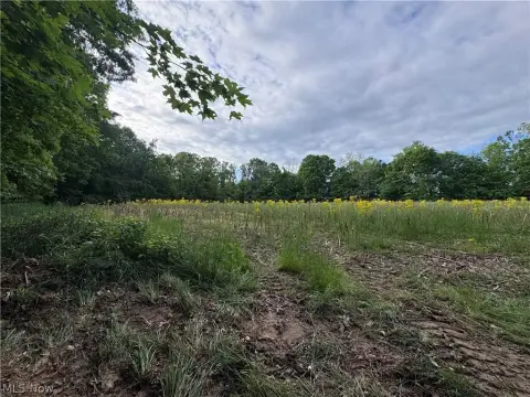Wooded Acreage With Open Field