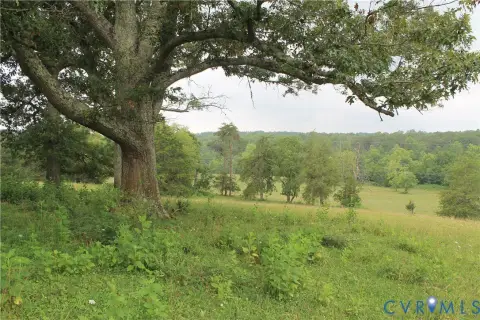 Deeded-Easement Farmland and Timber