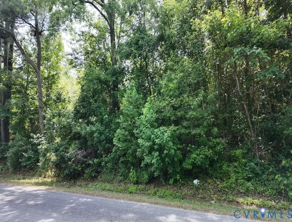 Picture 19