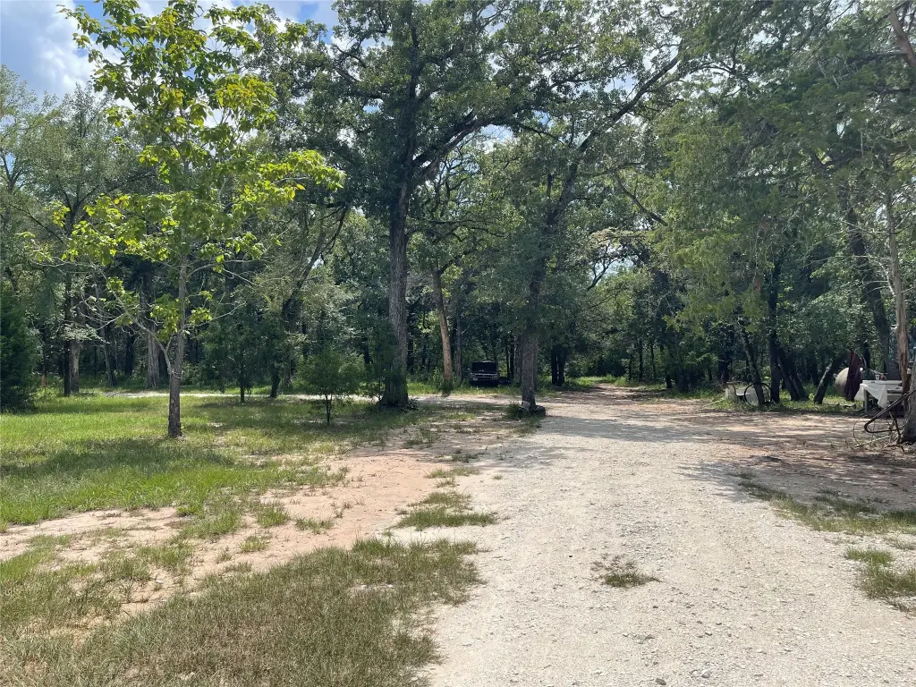 Picture 16