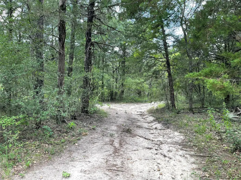 Picture 23
