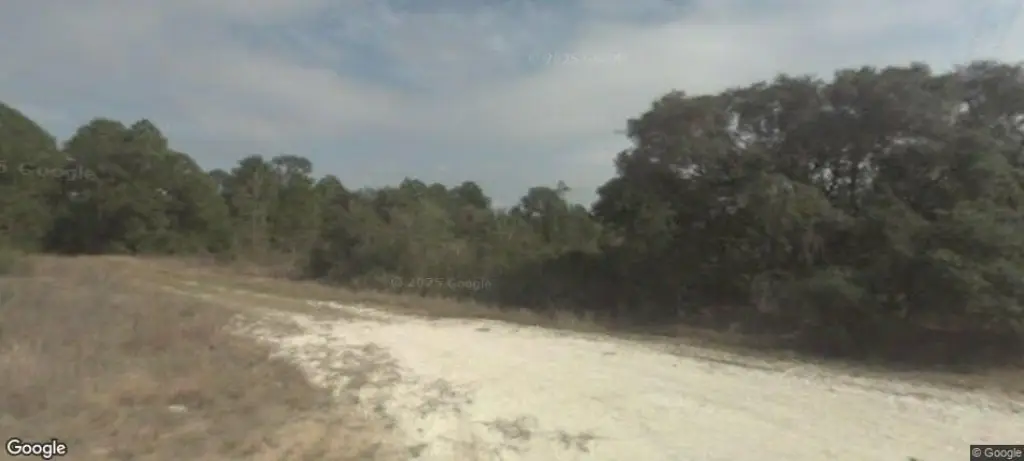 Picture 2