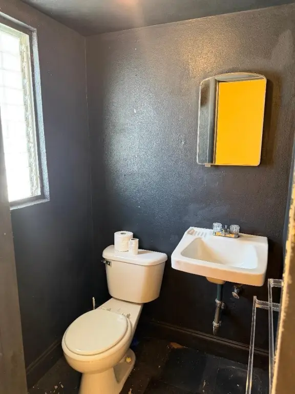 Picture 6