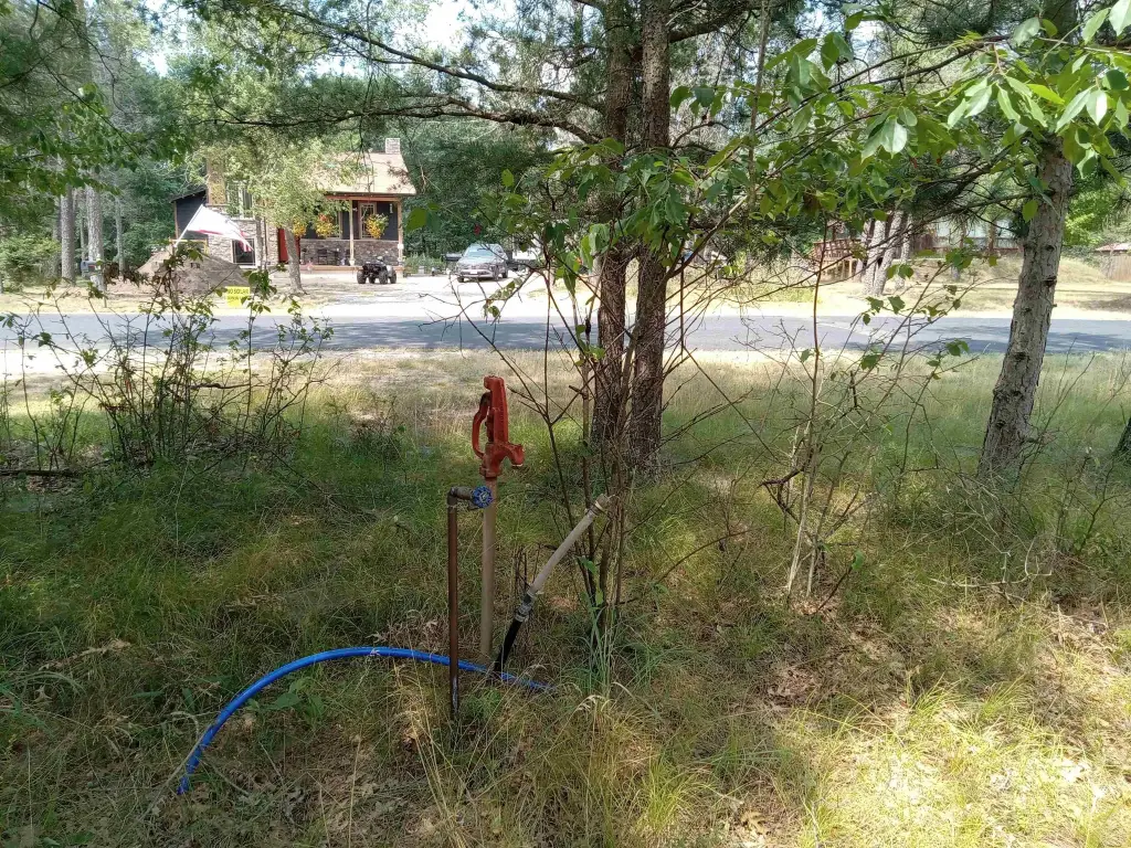 Picture 5