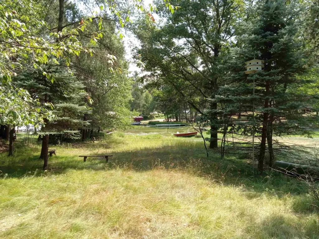 Picture 9