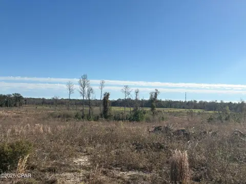 Graceville Land with Potential Home