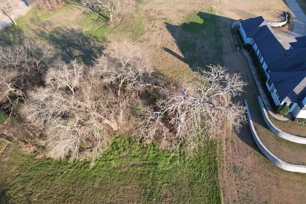 Picture 3