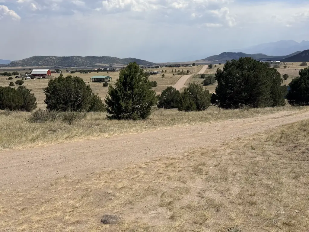 Picture 14