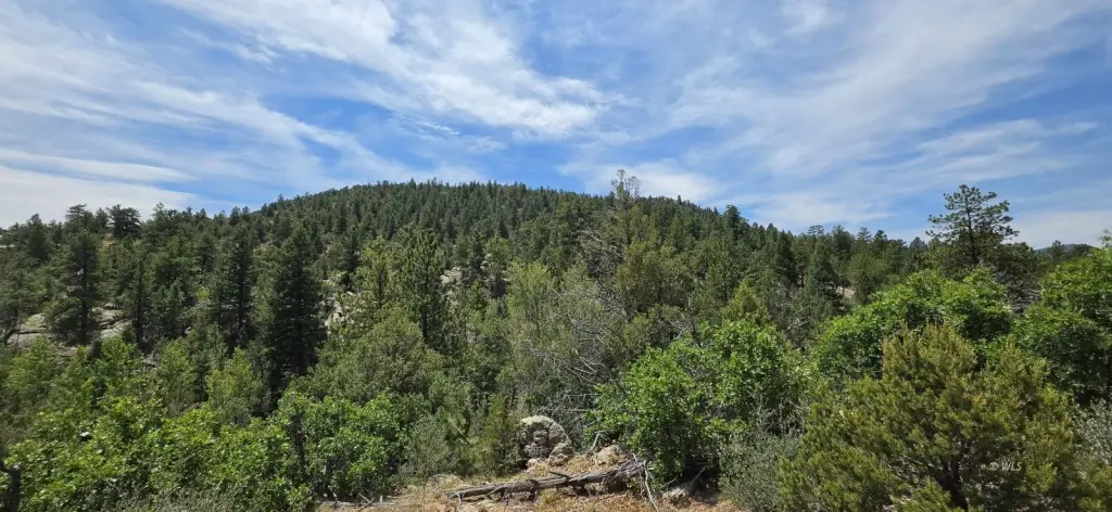 Picture 18