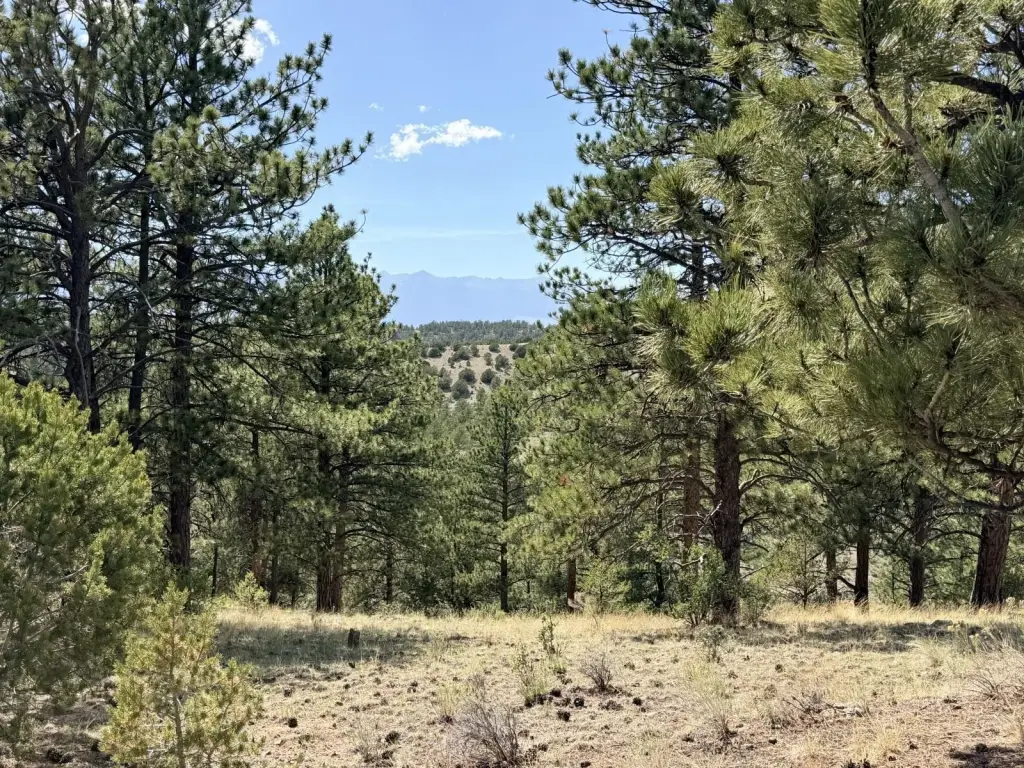 Picture 29
