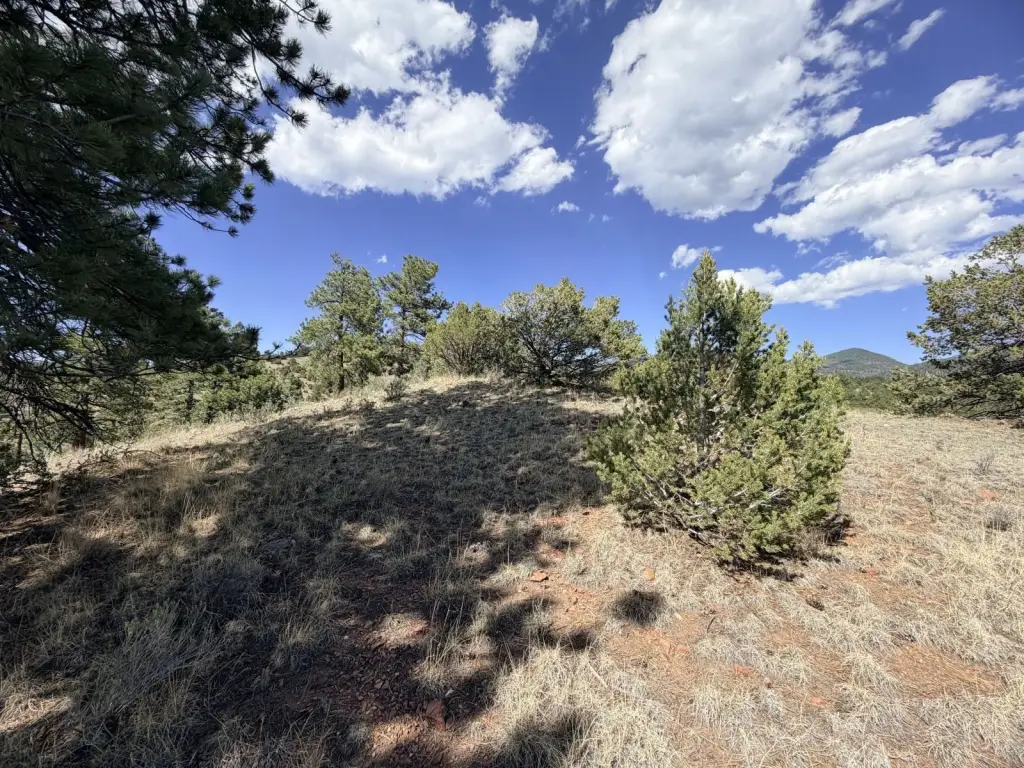 Picture 26