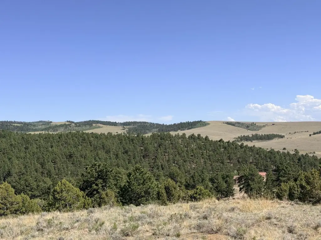 Picture 20