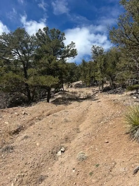 Picture 2