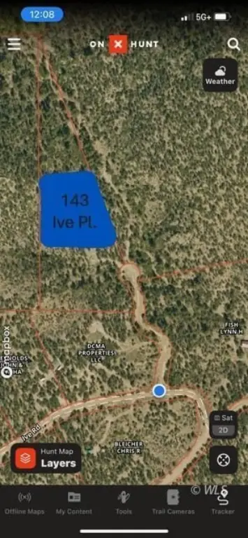 Picture 17