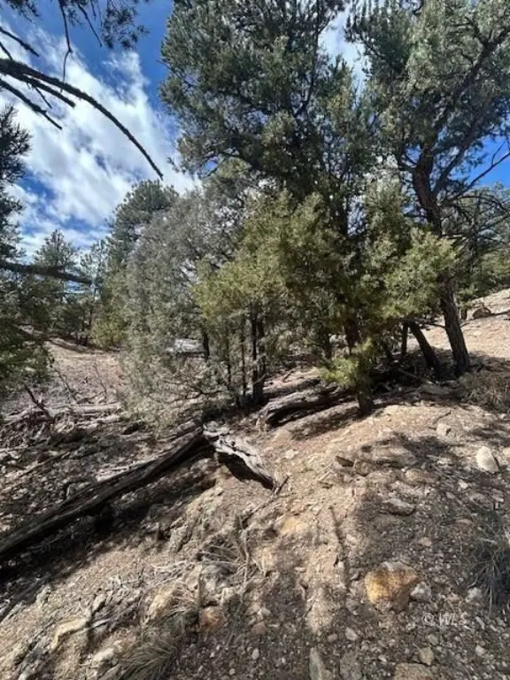 Picture 16
