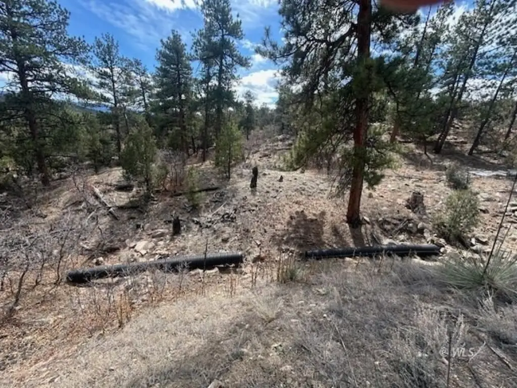 Picture 15