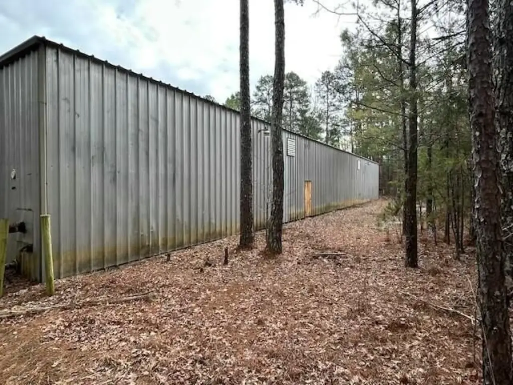 Picture 3