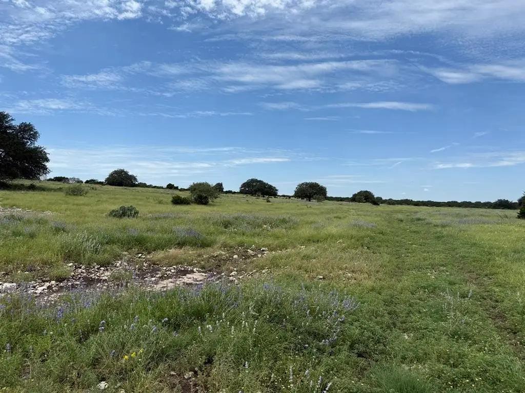 Picture 28