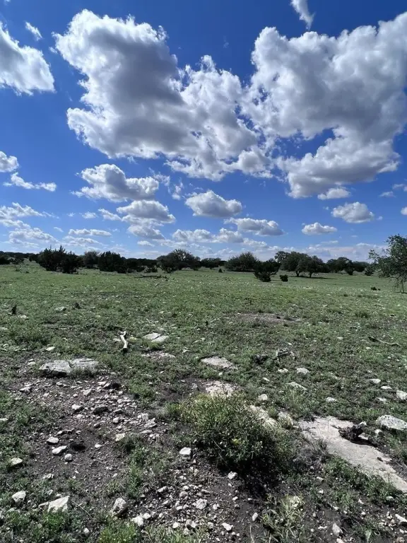 Picture 20
