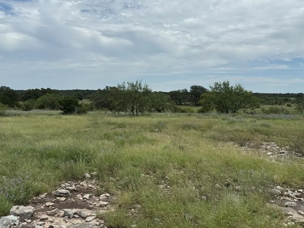 Picture 29