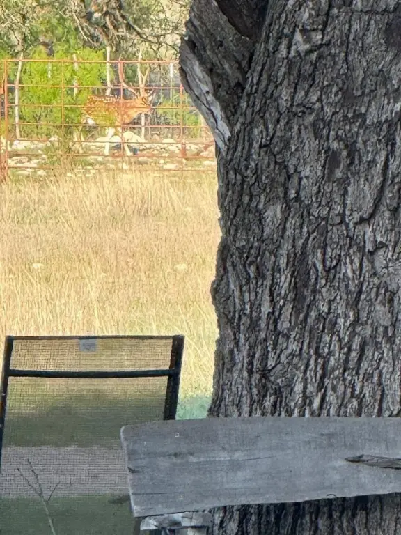 Picture 46