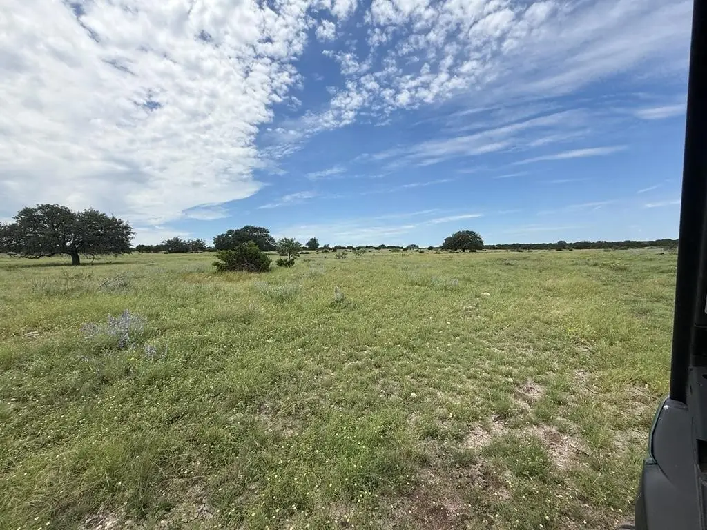 Picture 27