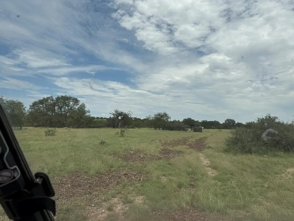 Picture 36