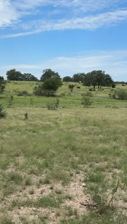 Picture 24