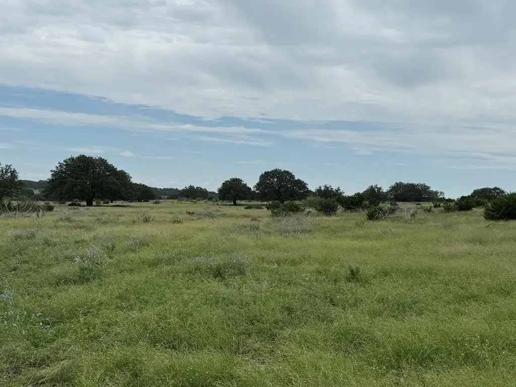 Picture 26