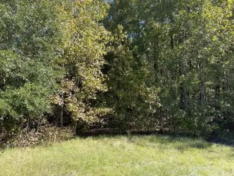 Olar, SC Hunting Land