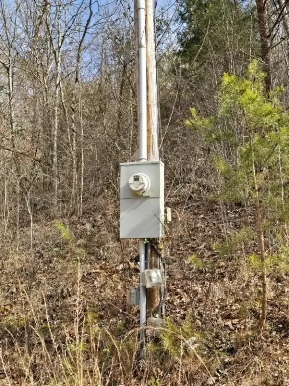 Picture 6