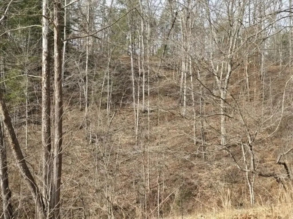 Picture 5