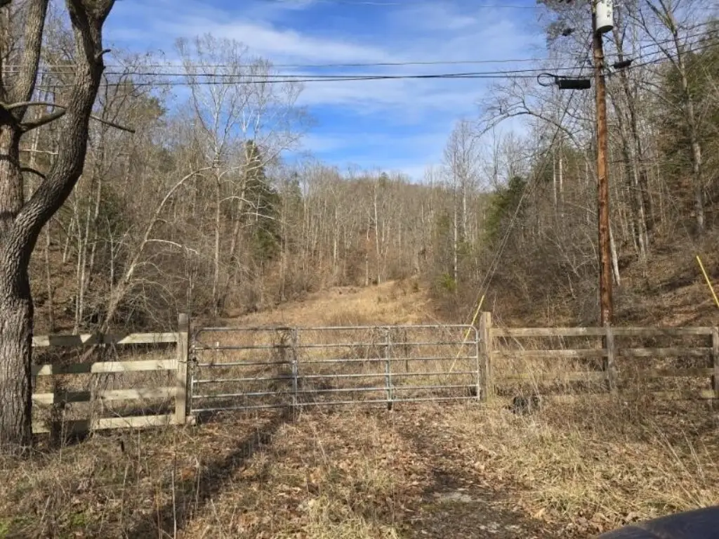 Picture 13
