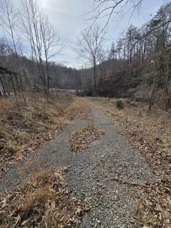 Picture 2
