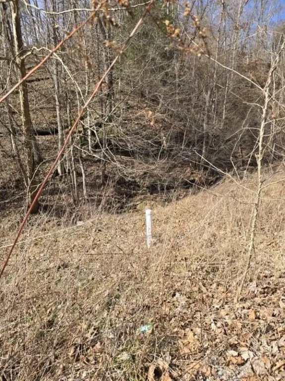 Picture 15