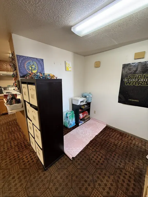 Picture 28