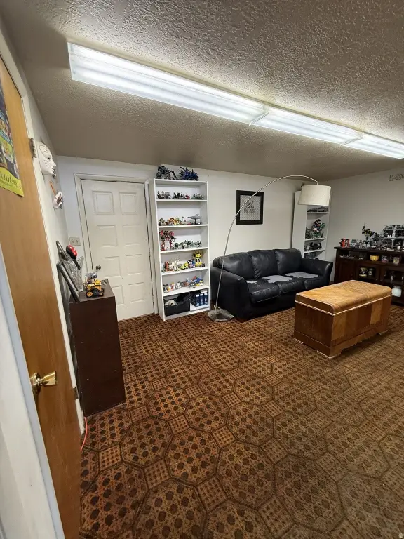 Picture 27