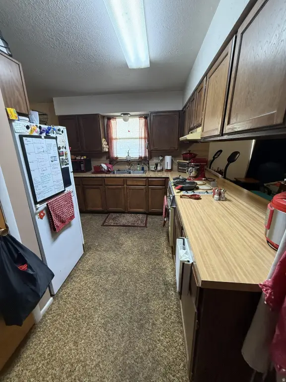 Picture 23
